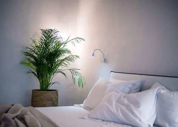 Melidron آغيوس بروكوبيوس